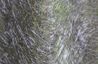 Coseley fibreglass roof work